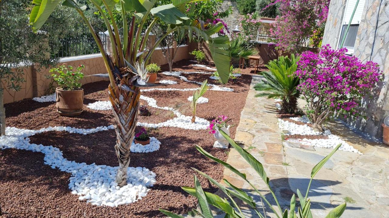 Oda ve Kahvaltı Camelia Alanya